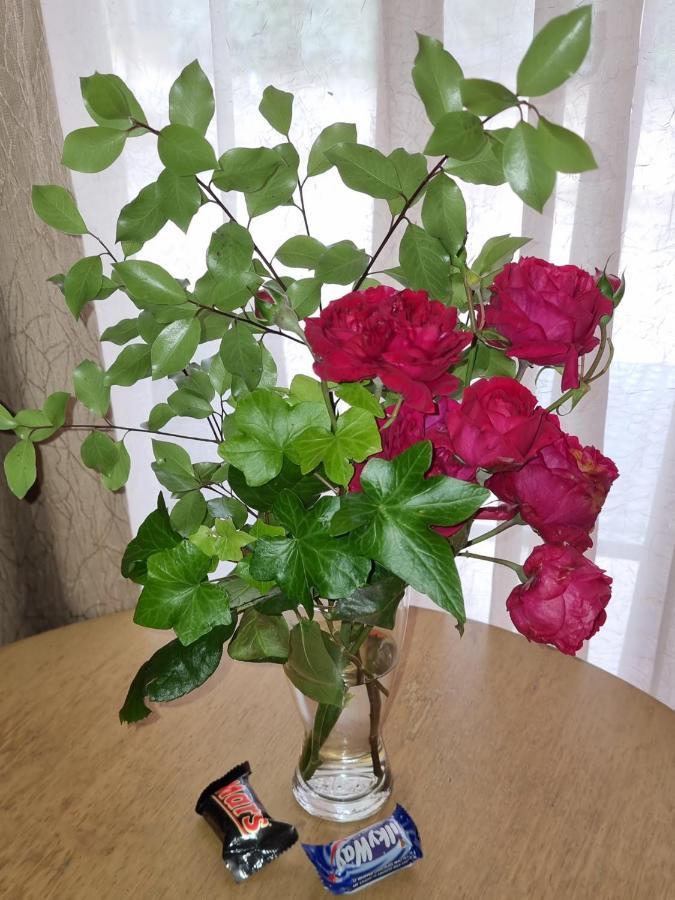 Saint Arnaud La Cochon Rose Motel מראה חיצוני תמונה