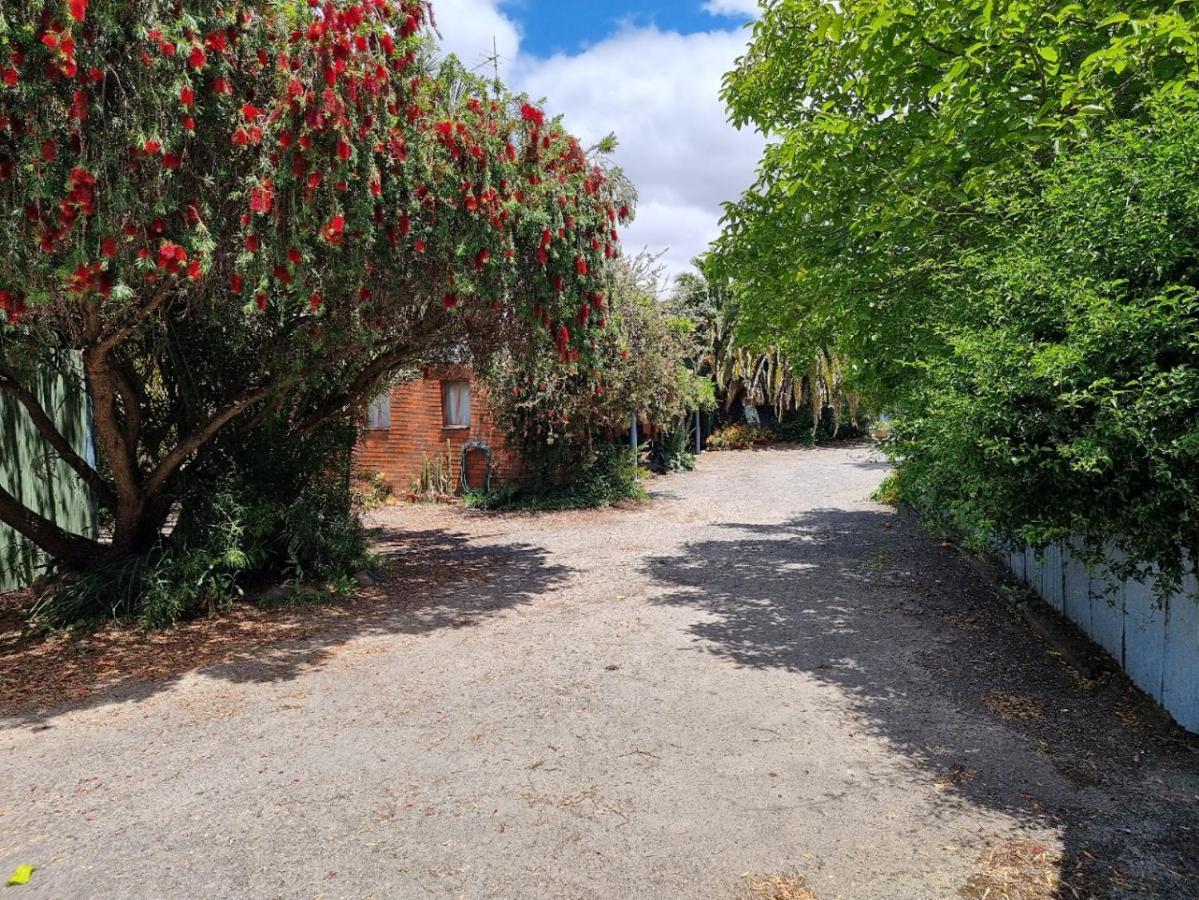 Saint Arnaud La Cochon Rose Motel מראה חיצוני תמונה