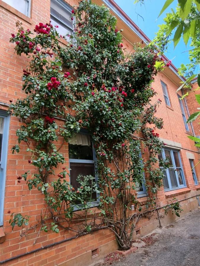 Saint Arnaud La Cochon Rose Motel מראה חיצוני תמונה