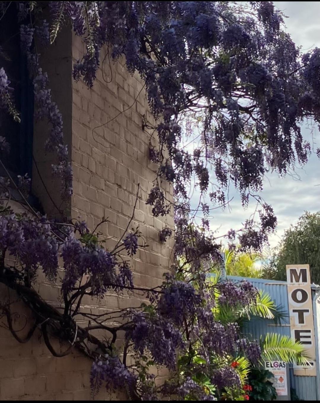 Saint Arnaud La Cochon Rose Motel מראה חיצוני תמונה